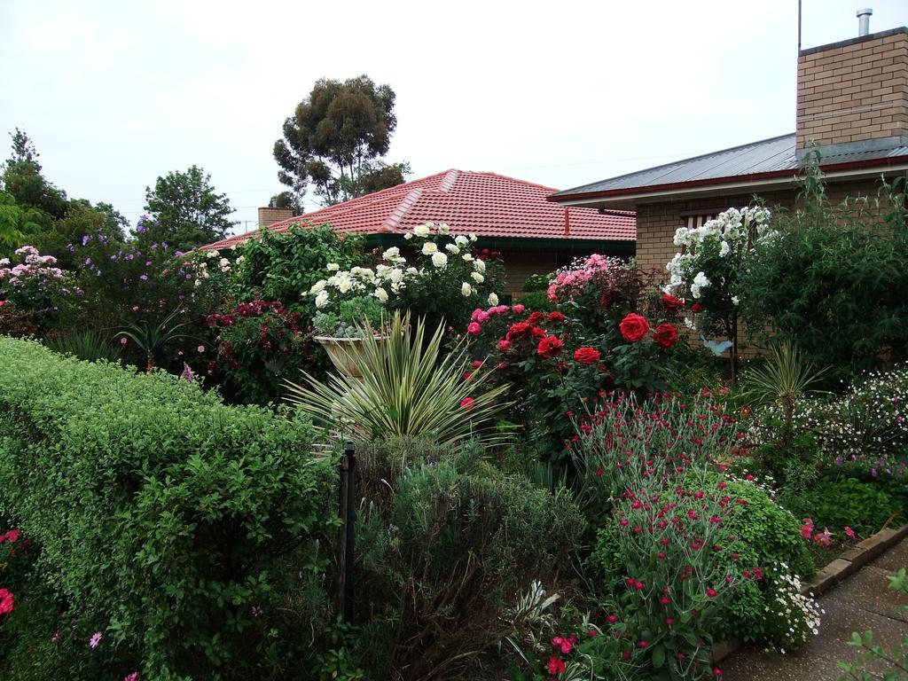 Admurraya House Bed & Breakfast Rutherglen Exterior foto