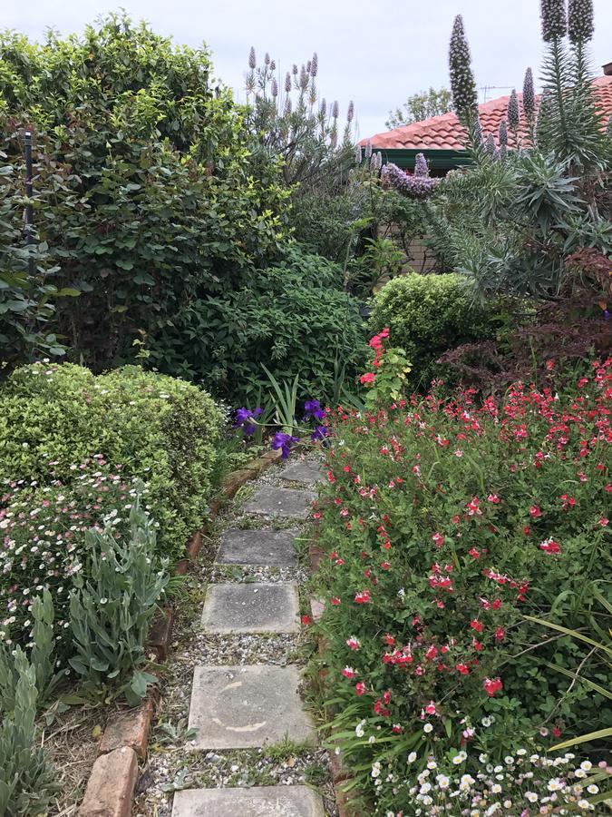 Admurraya House Bed & Breakfast Rutherglen Exterior foto